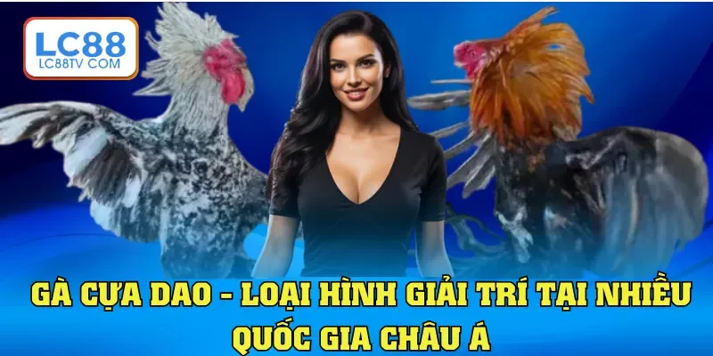 Gà cựa dao - Loại hình giải trí tại nhiều quốc gia châu Á