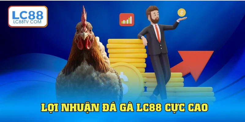 Lợi nhuận cực lớn khi chơi đá gà LC88